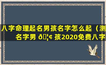 八字命理起名男孩名字怎么起（测名字男 🦢 孩2020免费八字起名周易）